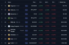 A dark-themed cryptocurrency or stock market dashboard displaying ticker rows including Polygon (USDC), Shiba Inu, PrimeOxis, Pepe, BNB, SunnyTongolito, and FLUKI, with columns for Price, 24h %, 7D %, and Market Cap showing red negative percentage changes.