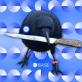 A black spherical base character standing on a futuristic platform surrounded by floating blue and white spheres.