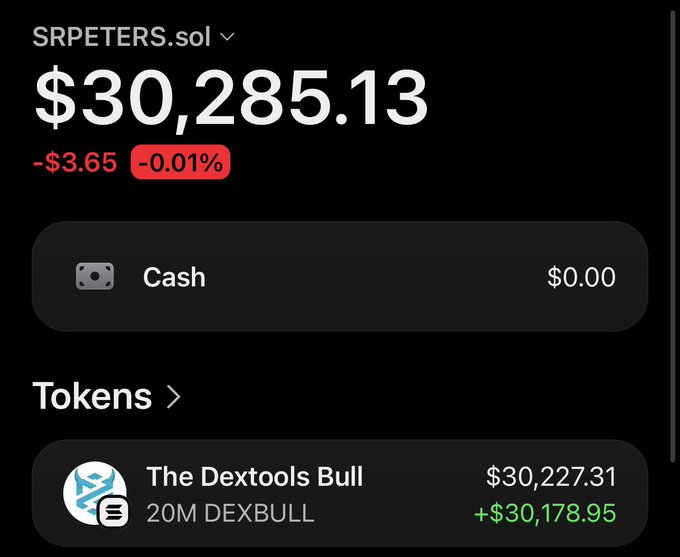 The image shows a crypto wallet portfolio for "SRPETERS.sol" with a total balance of $30,285.13, where the entire holdings come from "The Dextools Bull" (20M DEXBULL) token valued at $30,227.31 with a gain of +$30,178.95. This directly ties to the post about the community rallying around $DEXBULL on DEXTools to push the price and grow their bags, as evidenced by the significant gains shown.