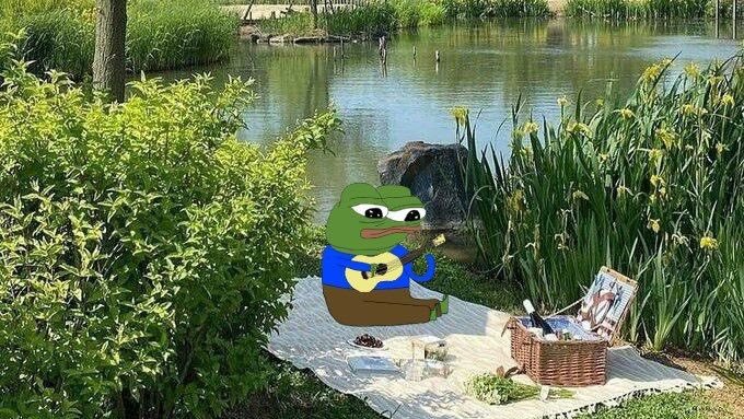 Pepe the Frog sits on a picnic blanket by a tranquil pond, strumming a guitar next to a "WTF" magazine and basket of wine, capturing the laid-back absurdity of a "gm" (good morning) crypto meme greeting.