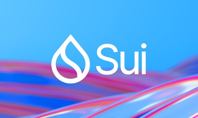 The image features the Sui blockchain logo, a white water drop emblem alongside the text "Sui," set against a flowing blue and pink background, visually supporting the post's message about Sui's potential to become the next major memecoin destination.