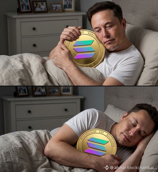 Two-panel image showing Elon Musk in bed with a large Solana cryptocurrency coin; the top panel shows him holding it awake, while the bottom panel shows him sleeping while hugging it. Watermarked '@afshar.blockchainball'.