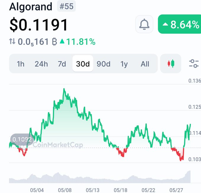 The image shows a stock chart or graph displaying the Algorand cryptocurrency, with a peak value of $0.1119. The chart also indicates that there has been a 50% increase since its initial rise and a 30% gain over the last month. This could suggest that someone is investing in the cryptocurrency. However, as the post points out, it might be an indication to buy some nugget due to its recent upward trend.