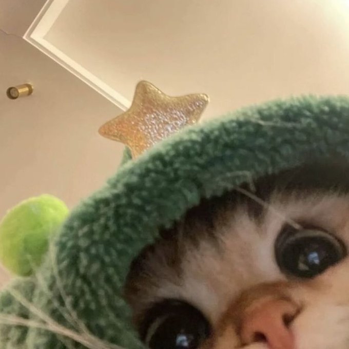 Close-up selfie of a person wearing a green knit hat with a gold star on top and a small green pom-pom, with large dark eyes visible in the frame.
