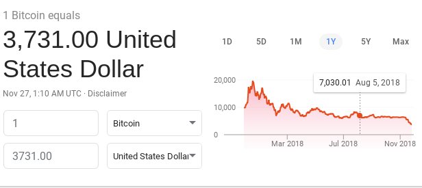 A Google currency conversion screen showing '1 Bitcoin equals 3,731.00 United States Dollar' dated Nov 27, with a 1-year price chart peaking at 20,000 and a highlight at 7,030.01 on Aug 5, 2018.