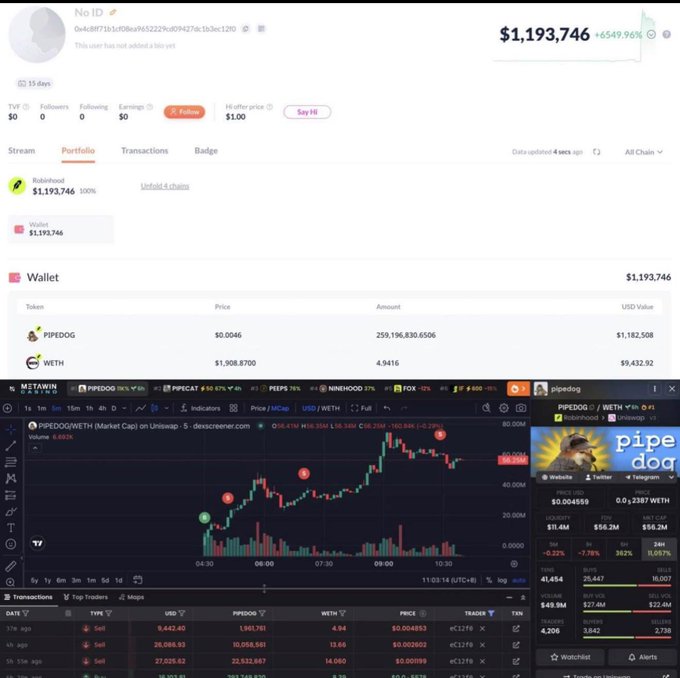A cryptocurrency portfolio dashboard showing a Robinhood wallet worth $1,193,746 with holdings in PIPEDOG and WETH tokens and a price chart.