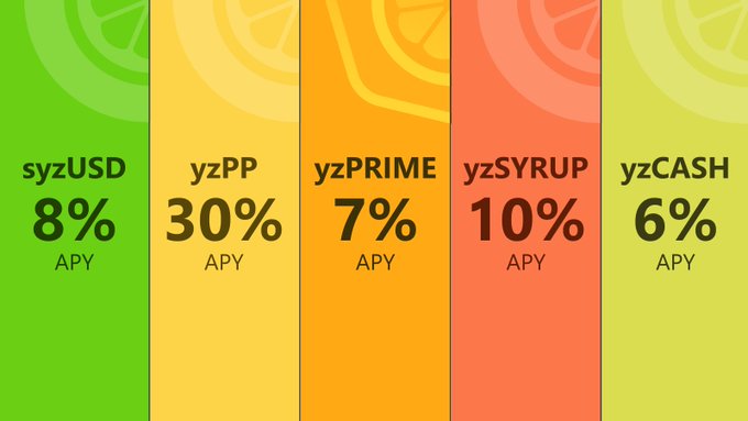 A colorful promotional graphic displaying APY rates for five different yield tokens: syzUSD (8%), yzPP (30%), yzPRIME (7%), yzSYRUP (10%), and yzCASH (6%), set against citrus fruit slice backgrounds.