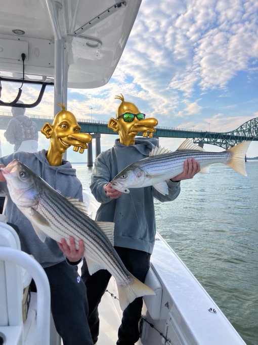 Two people on a fishing boat hold up large striped bass, with their faces humorously replaced by gold Mr. Burns (The Simpsons) masks, set against a backdrop of a green bridge.