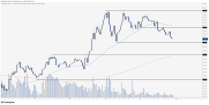 A TradingView daily candlestick chart of $HYPE/USD on Hyperliquid showing price action from April to August 2025, with horizontal support/resistance lines, moving averages, and volume bars at the bottom. The price has pulled back from highs near $0.046 to consolidate around the $0.033 level, illustrating the daily support zones mentioned in the post.