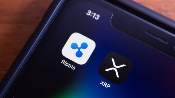 A smartphone screen displaying the Ripple logo and the XRP app icon, with the time 3:13 visible at the top.