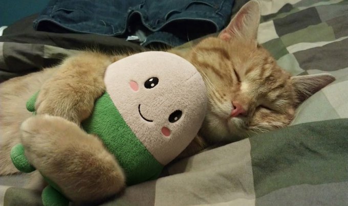 An orange tabby kitten sleeping peacefully while cuddled up against a small plush doll with a smiling face and green outfit on a camouflage-patterned blanket.