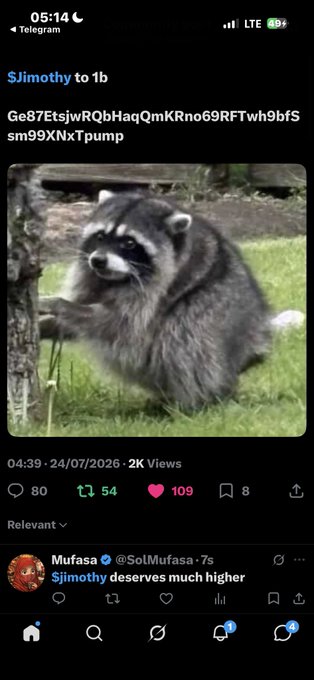 A screenshot of a Telegram post by user "S$imothy" showing a photo of a raccoon sitting on grass with its hands raised in a pleading gesture, accompanied by a SOL token contract address "Ge87EtsjwRQbHaqQmkRno69RFtwh9bfSsm99KNxTpump" and 2K views, humorously captioned "Seun it's been monthssss, pls see me king" to match the raccoon's begging pose.