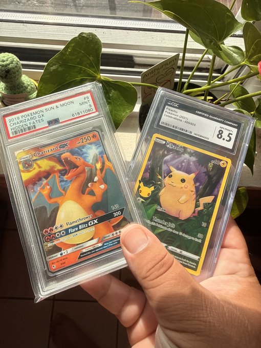 A person holding two PSA-graded Pokémon cards: a 2019 Hidden Fates Charizard GX (Mint 9) and a CGC-graded Pikachu card (8.5), with a houseplant in the background.
