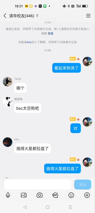A Chinese language mobile chat screenshot from a group called '清华校友(446)' (Tsinghua Alumni) showing conversations in Chinese including messages about dogs ('看起来快凉了', '搞个', 'bsc太空狗吧', '搞得火星都拉盘了') between users with timestamps 13:05-13:06.