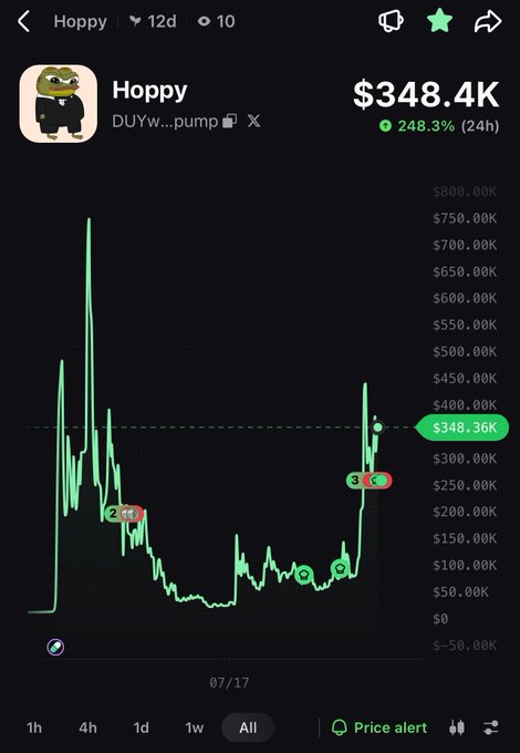 A cryptocurrency or meme token price chart showing 'Hoppy' (DUYw...pump) with a current price of $348.4K and a 248.3% 24-hour gain.