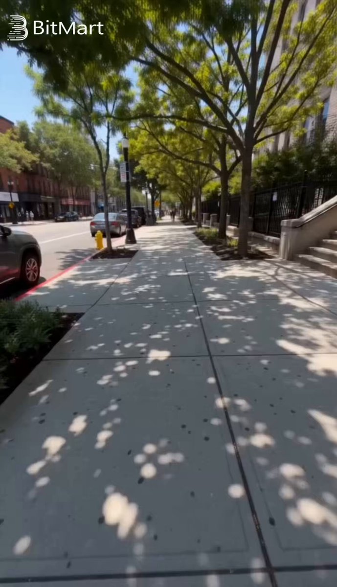 The image shows a sidewalk with several cars parked along it, including one car that appears to be broken down or abandoned. The sun casts shadows of trees onto the street, creating interesting patterns on the ground. A person can be seen sitting on the sidewalk near some plants. The main focus is on the sunlight and shadows created by the trees, which adds a unique visual element to the scene.