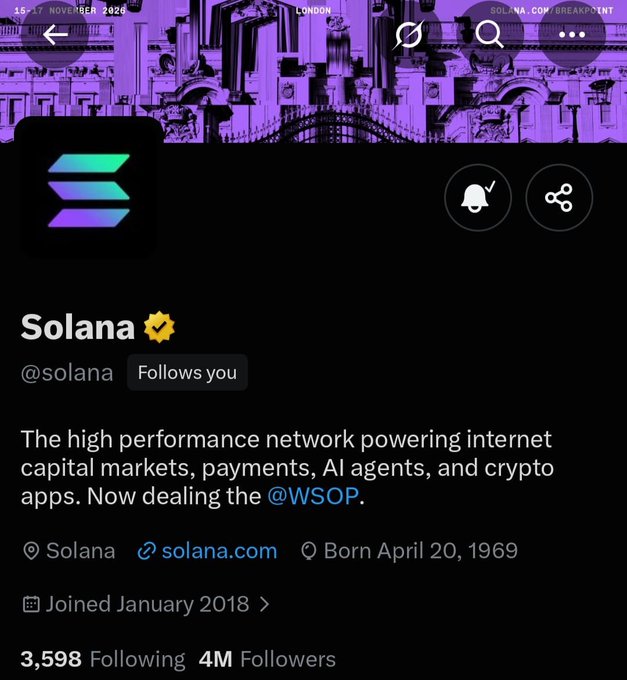The image shows Solana's X (formerly Twitter) profile page displaying a verified account with 4M Followers, 3,598 Following, and the bio "The high performance network powering internet capital markets, payments, AI agents, and crypto apps." The post humorously highlights being one of those 3,598 followed accounts, framing it as an achievement despite the listed personal struggles.