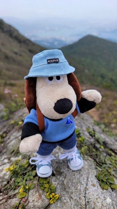 The image features a stuffed animal dog wearing a blue hat and carrying a backpack while standing on top of a rock. The caption for the image reads "Want your onchain actions to actually matter? Check out @acepyr on @base a cryptographic intelligence layer where players generate real value through competition". This suggests that the stuffed animal dog is promoting an online gaming platform or game, possibly one related to cryptography and intelligence.