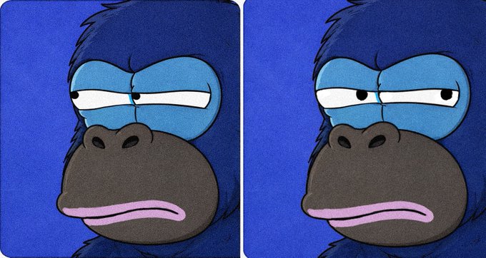 A side-by-side cartoon image of a blue gorilla's face with different expressions and eye directions on a blue background.