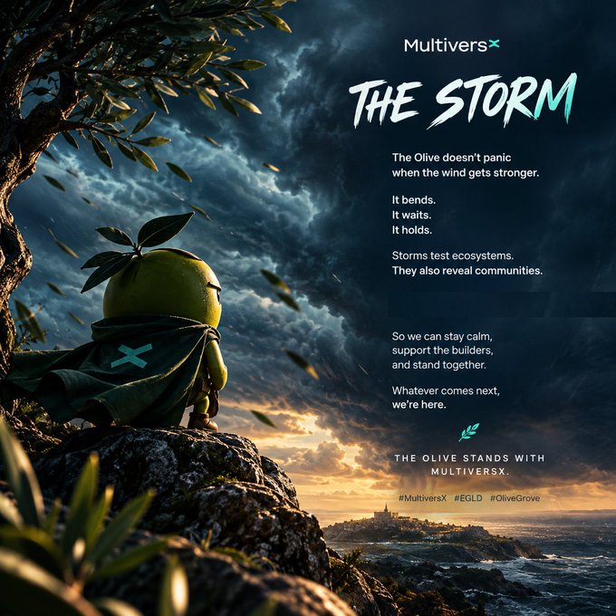 A promotional poster for MultiversX titled 'THE STORM', featuring a small green olive character wearing a cape standing on a cliff under a dramatic stormy sky, with text about standing calm through storms and the hashtag #MultiversX #EGLD #OliveGrove.
