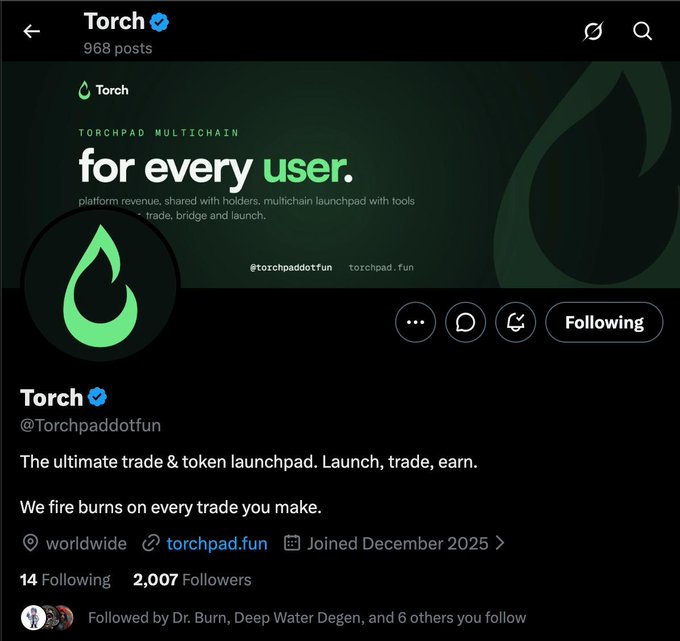 A Twitter/X profile page for 'Torch' (@Torchpaddotfun) shows a banner reading 'TORCHPAD MULTICHAIN for every user' with the tagline 'The ultimate trade & token launchpad. Launch, trade, earn.'