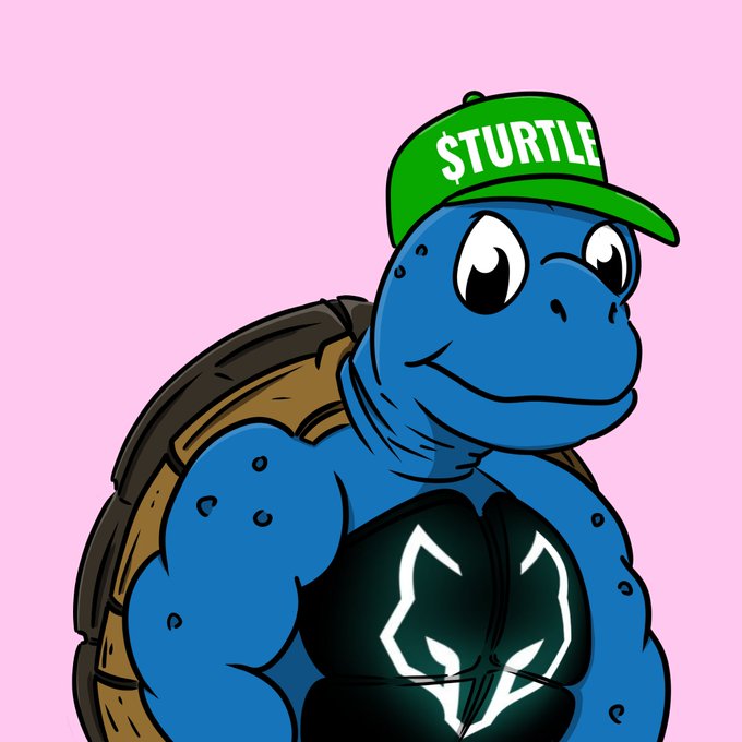 Cartoon illustration of a muscular blue turtle wearing a green '$TURTLE' cap and a black shirt with a glowing logo.
