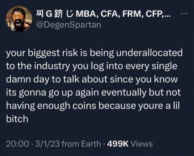 A tweet from @DegenSpartan reading 'your biggest risk is being underallocated to the industry you log into every single damn day to talk about since you know its gonna go up again eventually but not having enough coins because youre a lil bitch' with 499K views.