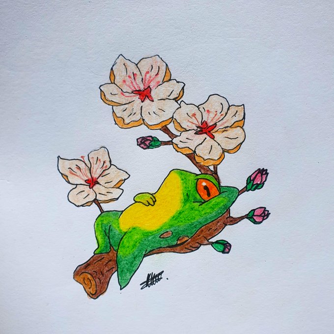 A colored illustration of a green and yellow tree frog resting on a brown branch with white cherry blossoms and pink buds.