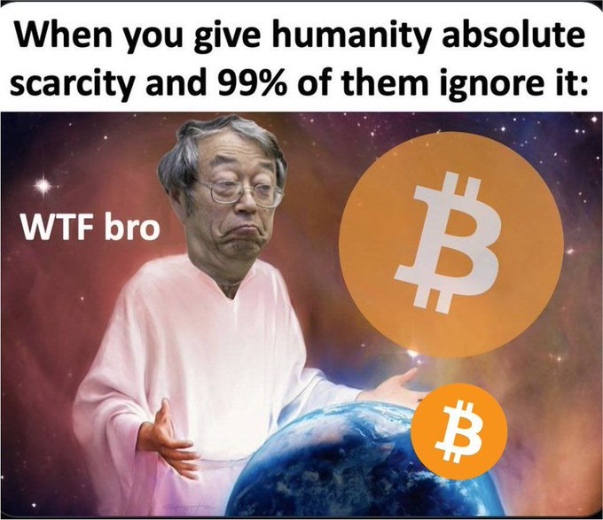 A meme shows a man in a pink robe holding Earth with a disappointed expression, labeled 'WTF bro,' alongside Bitcoin logos, with the caption 'When you give humanity absolute scarcity and 99% of them ignore it:'.