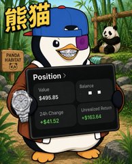 A meme featuring a cartoon panda character from 'Panda Habit' with text in Chinese reading '熊猫' and a 'Position' display showing a Value of $495.85 and a 24h Change of +$41.52.