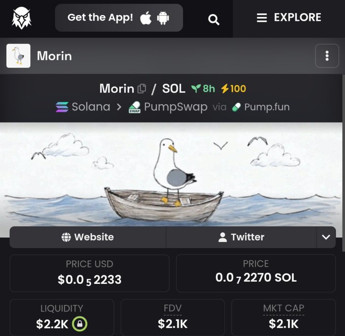 A DexScreener mobile screenshot showing the Morin/SOL token featuring a cartoon seagull in a boat, priced at $0.052233 with $2.2K liquidity.