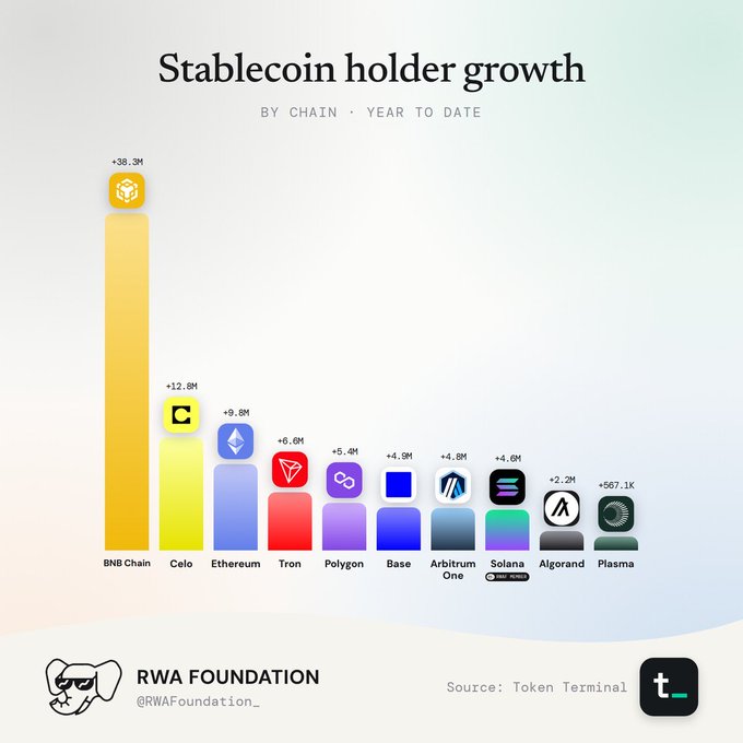 An infographic titled 'Stablecoin holder growth BY CHAIN · YEAR TO DATE' from RWA Foundation showing BNB Chain leading with +38.3M, followed by Celo (+12.8M), Ethereum (+9.8M), and other chains; source: Token Terminal.