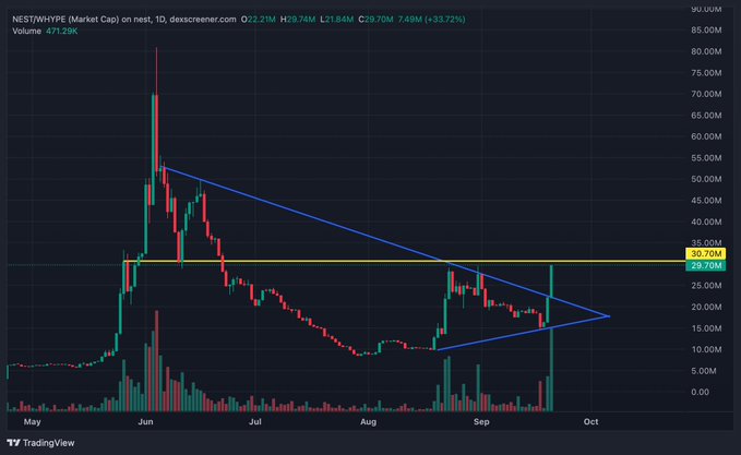 A TradingView chart of NEST/HYPE on dexcreener.com showing price movement with a descending triangle pattern.