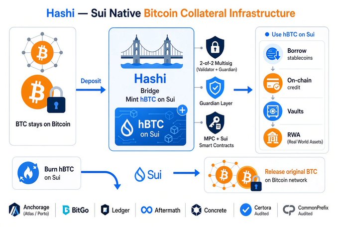 An infographic titled 'Hashi — Sui Native Bitcoin Collateral Infrastructure' illustrating how BTC is deposited and bridged to mint hBTC on the Sui network.