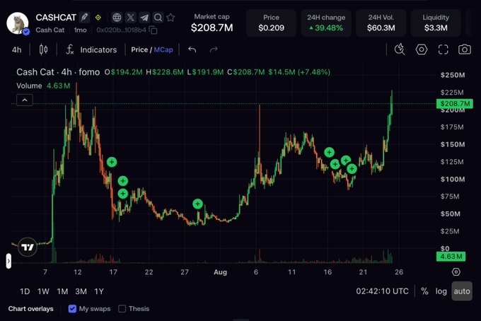 A TradingView chart of the CASHCAT memecoin (TMO token) showing a market cap of $208.7M, price of $0.209, and a 39.48% 24H increase, with green and red candle price action over the past month.