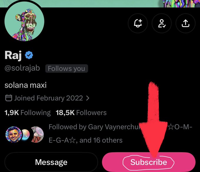 A social media profile for 'Raj' with the handle '@solrajab' is displayed, noting 'solana maxi' in the bio and 'Joined February 2022'. A large red arrow points down to a pink 'Subscribe' button that has been circled in white.