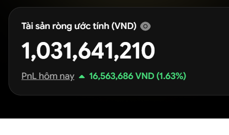 Financial dashboard displaying estimated net worth ('Tài sản ròng ước tính') of 1,031,641,210 VND with today's PnL showing a gain of 16,563,686 VND (+1.63%) in green.