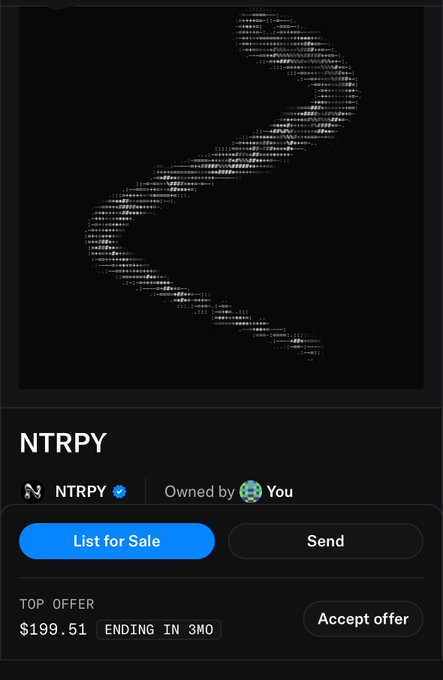 A digital NFT listing for the 'NTRPY' token showing a dotted profile face graphic, marked as 'Owned by You', with a 'TOP OFFER' of $199.51 ending in 3 months.