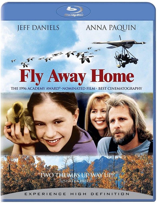 A Blu-ray cover for the 1996 film 'Fly Away Home' starring Jeff Daniels and Anna Paquin, featuring a young girl holding a gosling and an ultralight aircraft flying with geese overhead.
