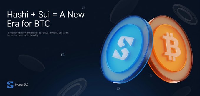 A promotional graphic for HyperSUI titled 'Hashi + Sui = A New Era for BTC', showing 3D coin tokens for Sui and Bitcoin with the tagline 'Bitcoin physically remains on its native network, but gains instant access to Sui liquidity.'