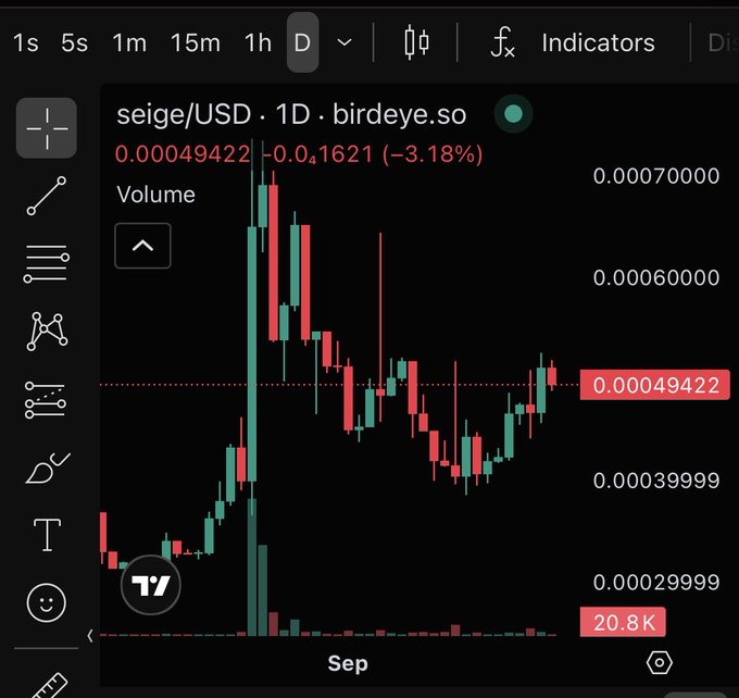 A candlestick chart from birdeye.so displays the seige/USD 1D trading pair at 0.00049422, showing a -3.18% change with a notable vertical price spike in early September.