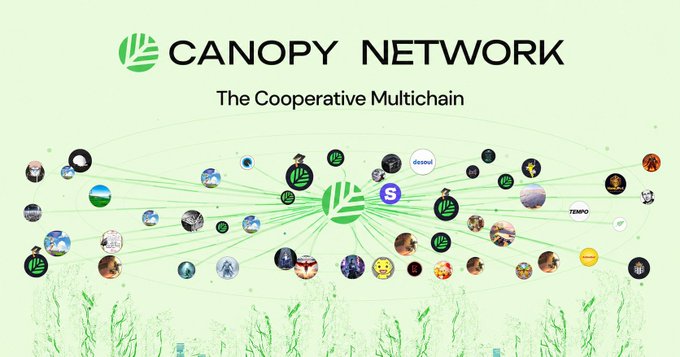 A promotional graphic for 'CANOPY NETWORK - The Cooperative Multichain' showing a central green logo connected by lines to numerous circular icons of various crypto projects and currencies.