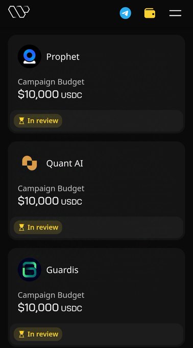 The image shows a phone screen displaying three different campaign budgets for various creators. The creator with the highest budget has their name displayed at the top of the list, while the other two creators are positioned below them. The creator with the lowest budget is located towards the bottom of the list. The post also mentions that the creator's follower count does not matter and emphasizes the importance of focusing on one's niche when creating content for an automated target audience.