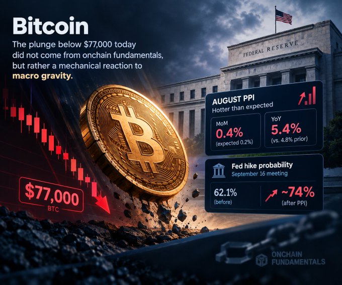 A Bitcoin graphic titled 'macro gravity' shows a price drop to $77,000, with an 'AUGUST PPI' box and 'Fed hike probability' rising to ~74% after PPI.