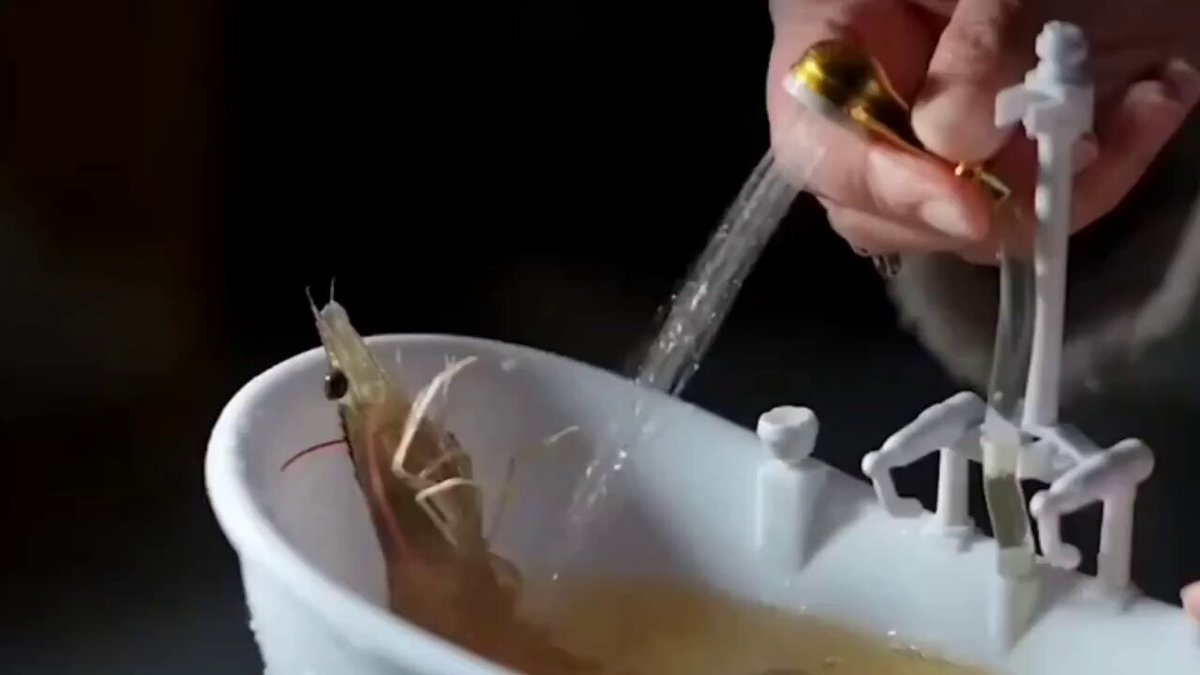 The image shows a person holding a gold-colored pipe over a white bathtub filled with water, where a shrimp or crab is swimming around. The caption reads "How Saylor treats MSTR holders", which suggests that the person might be using a special device or technique to treat the shrimp or crab in the bathtub.

The image also contains some text about a "shrimp" and a "crab". However, without more context from the image, it is not possible to determine if these terms are related to the treatment of the shrimp or crab in the bathtub.