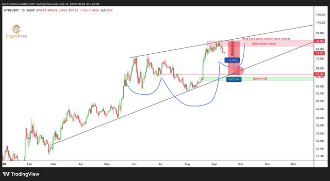 A TradingView chart for 'HYPEUSDT' on CryptoPatel shows a candlestick graph with annotations including 'Stop Loss (Kelly Candle close Above)', 'Short Entry Level', 'Bullish OB', and a -13.90% projection.