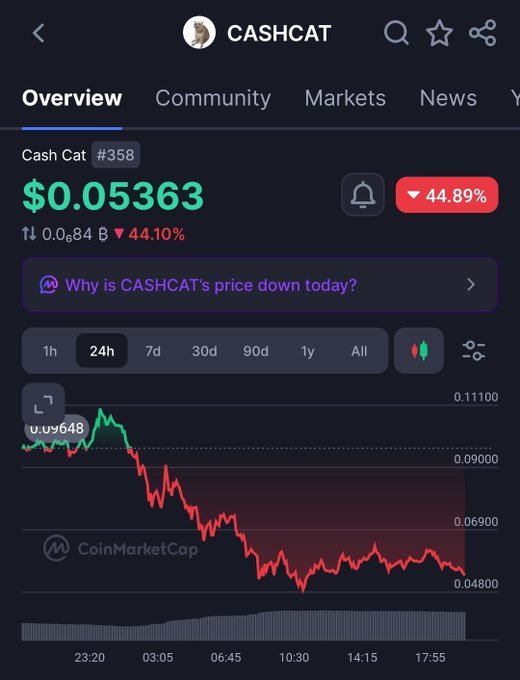 A CoinMarketCap screenshot showing CASHCAT (#358) at $0.05363, down 44.89% over 24 hours.