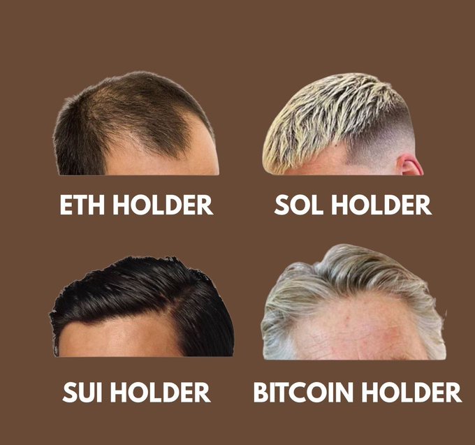 A meme shows four different hairline images labeled 'ETH HOLDER', 'SOL HOLDER', 'SUI HOLDER', and 'BITCOIN HOLDER' on a brown background, humorously depicting crypto holders' receding hairlines.