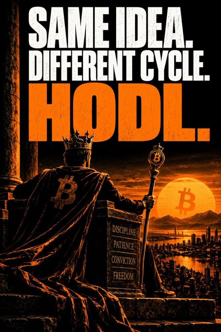 A dark, cinematic poster reading 'SAME IDEA. DIFFERENT CYCLE. HODL.' depicts a king with a Bitcoin logo on his robe and scepter, sitting on a throne inscribed with 'DISCIPLINE, PATIENCE, CONVICTION, FREEDOM'.