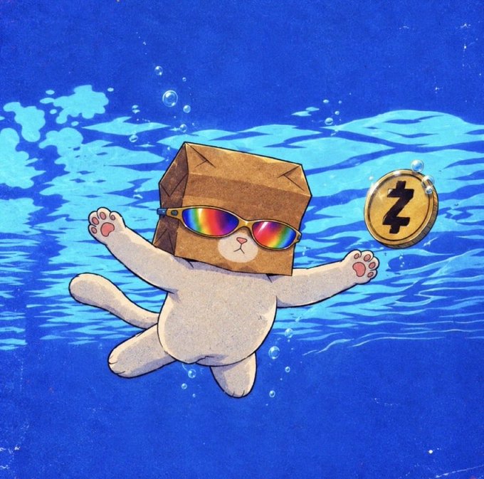An illustration of a cat wearing rainbow sunglasses and a brown paper bag on its head, swimming underwater with a gold Zcash (ZEC) cryptocurrency coin floating nearby.